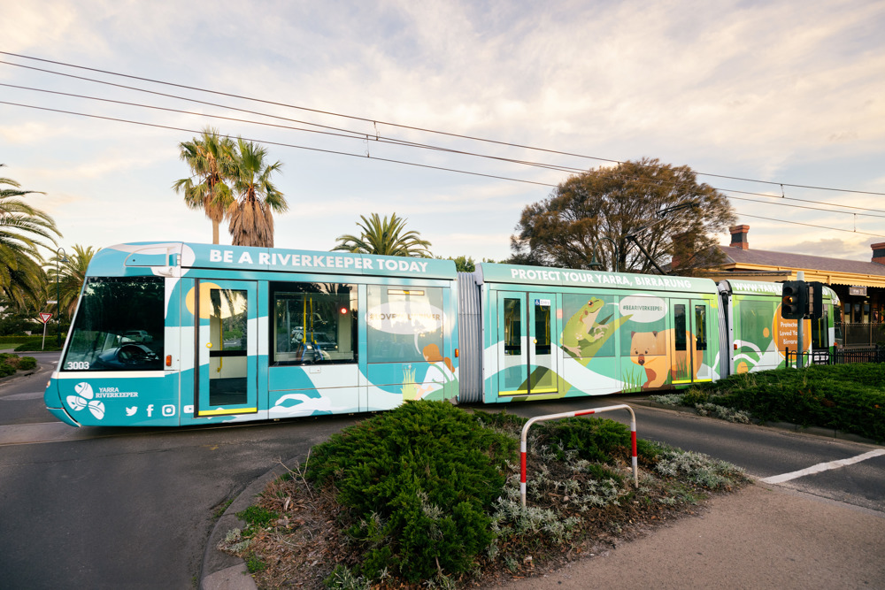 Photo: The Yarra Riverkeeper Association community partnership tram out on the network, with palm trees in the backgrounds and a blue cloudy sky